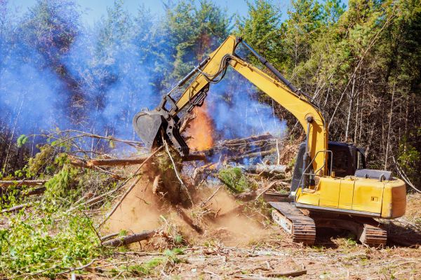 Williamsburg Land Clearing